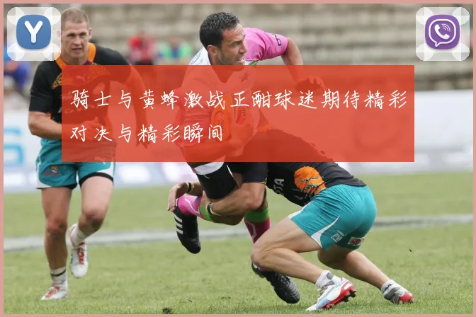 骑士与黄蜂激战正酣球迷期待精彩对决与精彩瞬间