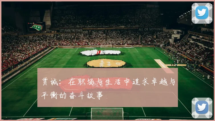 贾诚：在职场与生活中追求卓越与平衡的奋斗故事