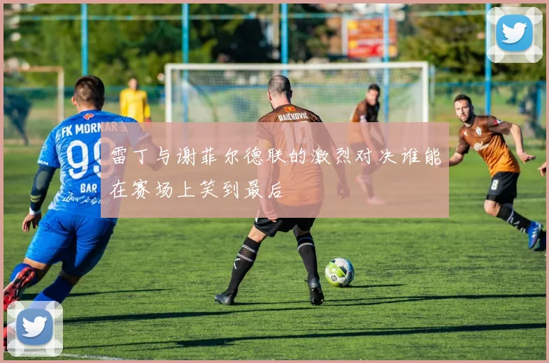 雷丁与谢菲尔德联的激烈对决谁能在赛场上笑到最后