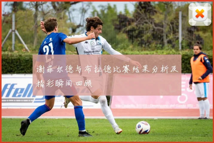 谢菲尔德与布拉德比赛结果分析及精彩瞬间回顾