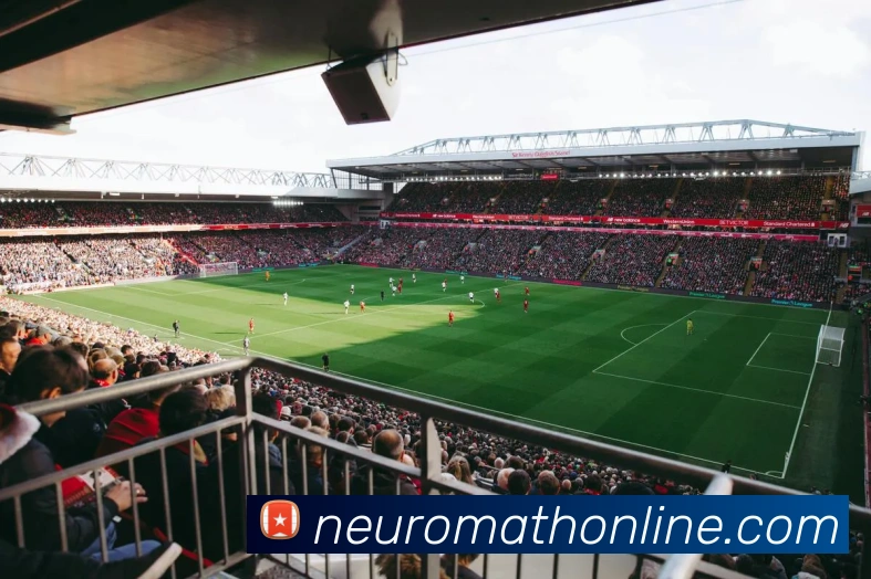 U8国际服务体系